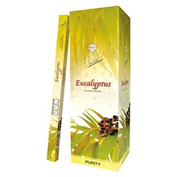 Flute Eucalyptus (Okaliptus ) 6x20 Adet Çubuk