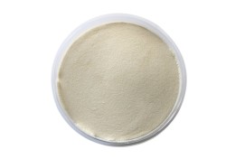 Ksantan Gam (Xanthan Gum)  (1)