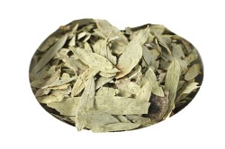 Sinameki Yaprağı 1kg - 1