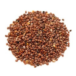 Turp Tohumu 1kg